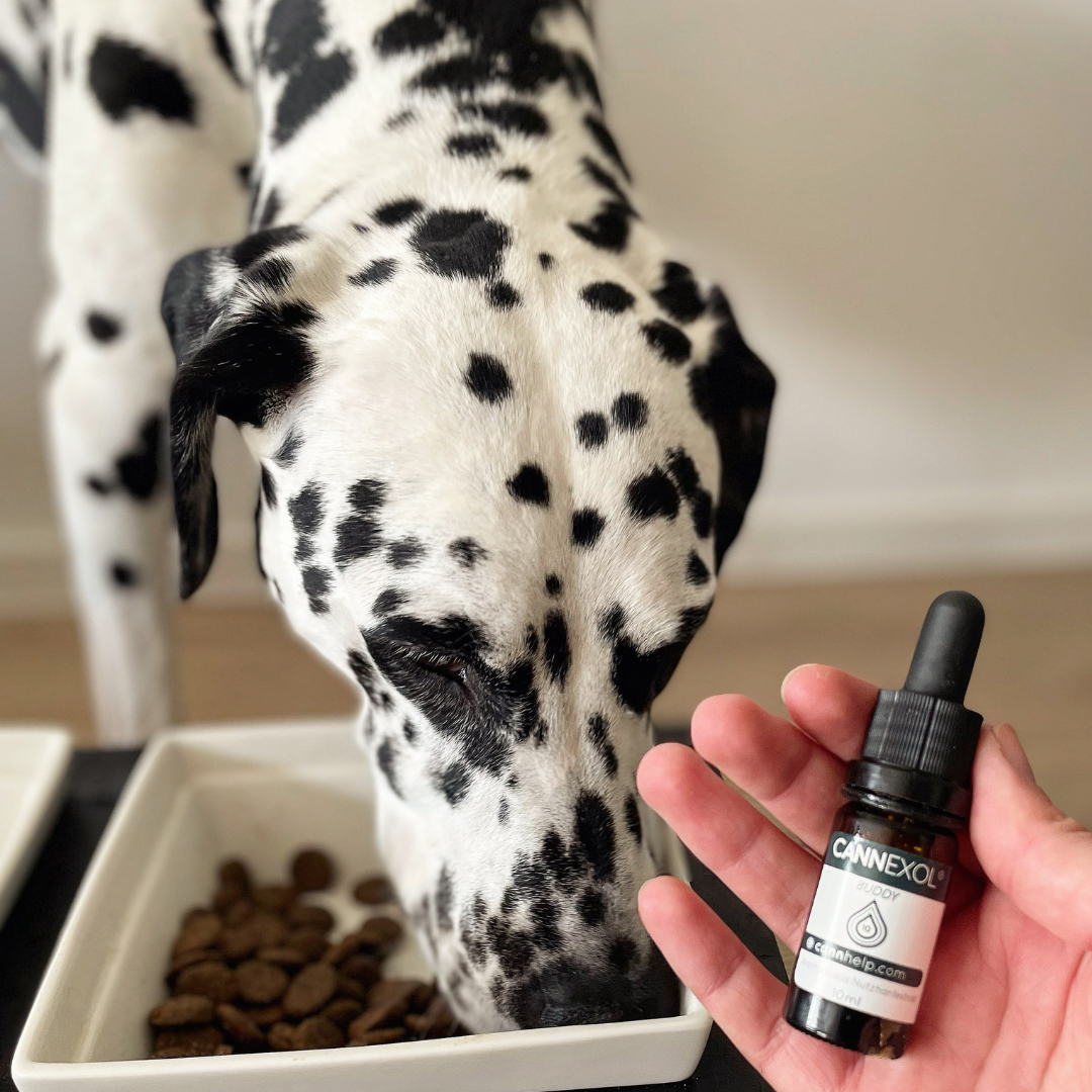 CANNEXOL DOG 5% TRIO